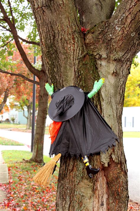 When Magic Fails: Witch Crashes into Tree